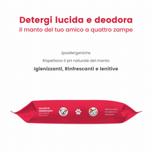 Carica l'immagine nel visualizzatore di Gallery, Salviettine detergenti alla Clorexidina PLUS
