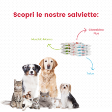 Carica l'immagine nel visualizzatore di Gallery, Salviettine detergenti alla Clorexidina PLUS