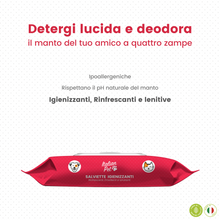 Carica l'immagine nel visualizzatore di Gallery, Salviettine Biodegradabili Clorexidina