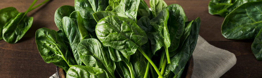 Cani e gatti possono mangiare gli spinaci?